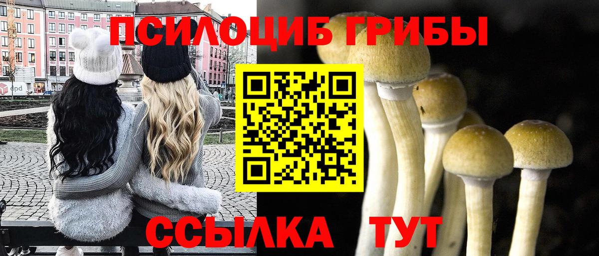 Псилоцибиновые грибы Cubensis Вятские Поляны